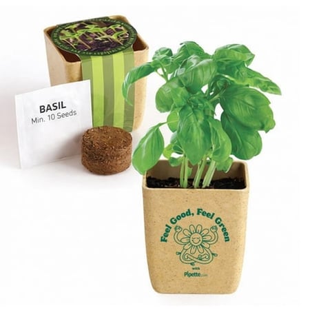 Pipette.com - Feel Good Feel Green - FG-PS